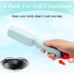 Self Clean
