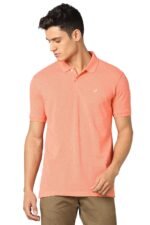 Allen Solly Men’s Cotton Regular Fit Polo T-Shirt