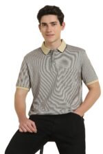 Allen Solly Men’s Cotton Regular Fit Polo T-Shirt