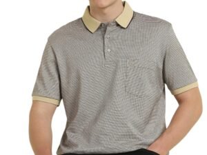 Allen Solly Men’s Cotton Regular Fit Polo T-Shirt
