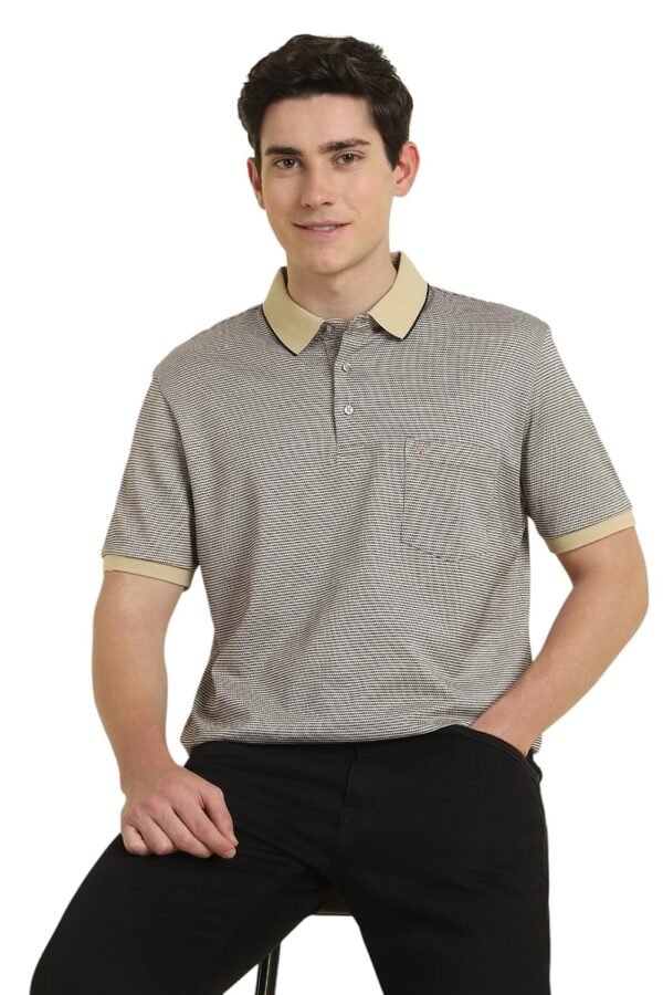 Allen Solly Men’s Cotton Regular Fit Polo T-Shirt