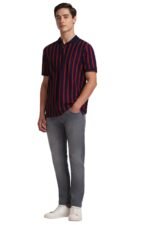 Allen Solly Men’s Cotton Regular Fit Polo T-Shirt