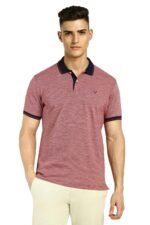 Allen Solly Men’s Cotton Regular Fit Polo T-Shirt