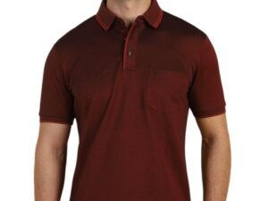 Allen Solly Men’s Cotton Regular Fit Polo T-Shirt