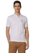 Allen Solly Men’s Cotton Regular Fit Polo T-Shirt