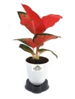 1.5 Ton Air Conditioner #5 bestseller