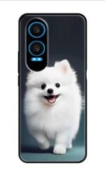 OnePlus Nord CE4 Lite 5G