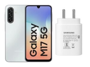 Samsung 25W Type-C Travel Adaptor