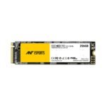 256GB SSD)