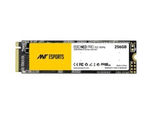 256GB SSD)