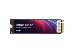256GB SSD)