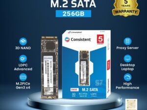 256GB SSD)