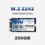256GB SSD)