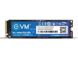 256GB SSD)