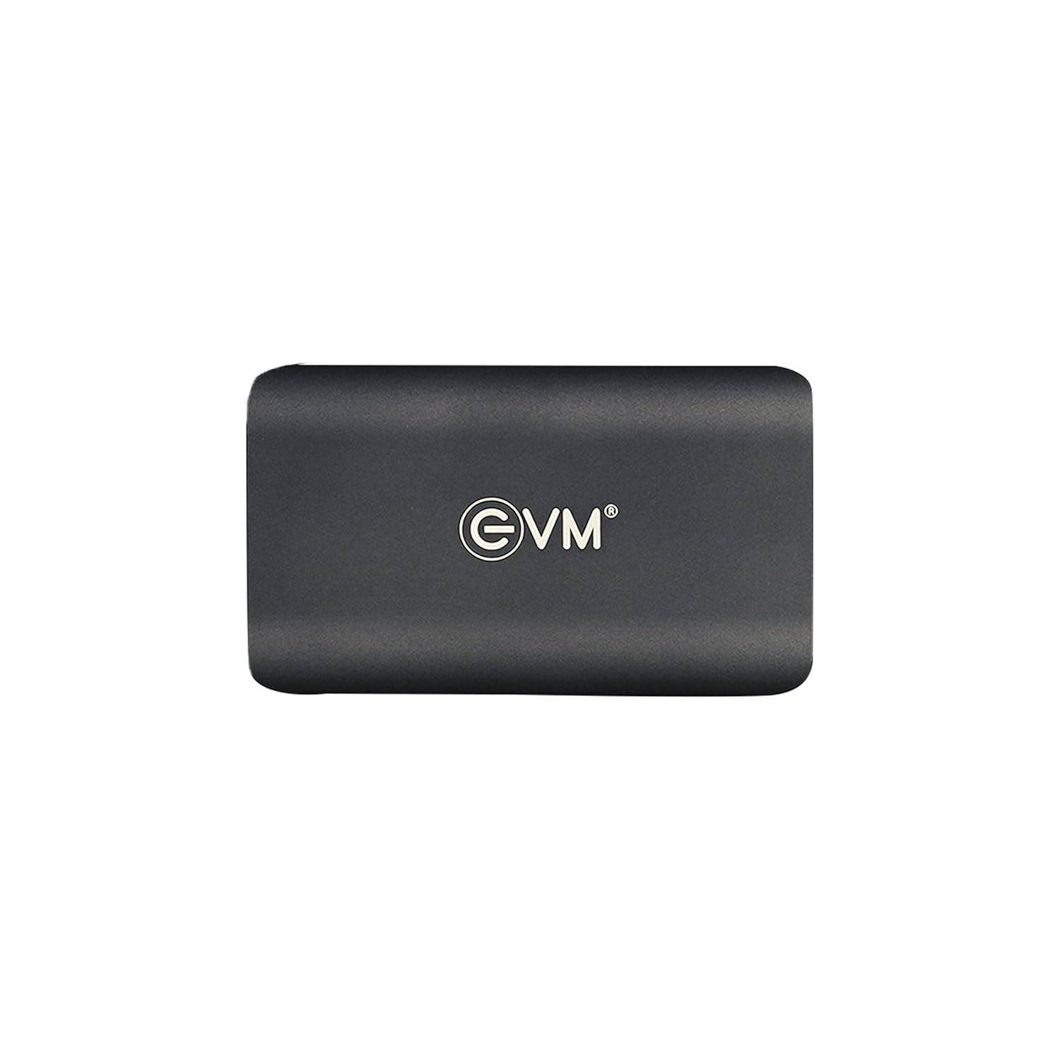 EVM EnSave 256GB Ultra Compact Portable SSD | USB 3.1 256GB SSD)
