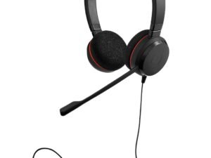 Apple EarPods (USB-C)