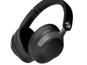 JBL C100SI