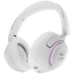 JBL C100SI