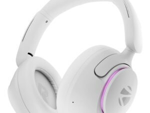 JBL C100SI