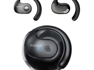 JBL C100SI